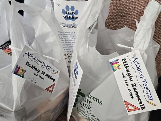 Adopt a Teacher success