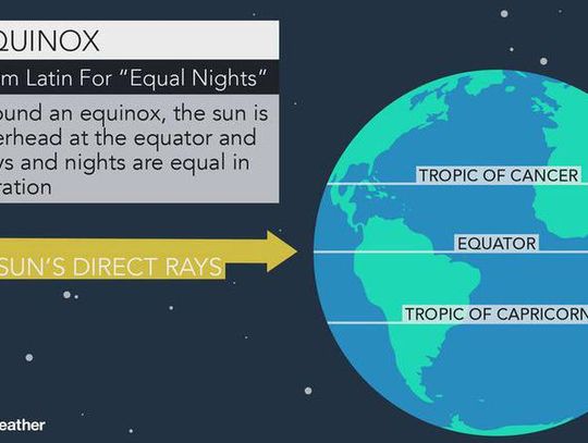 Celebrating SPRING and all it brings