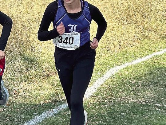 Congratulations to our area athletes in your success at State Cross Country