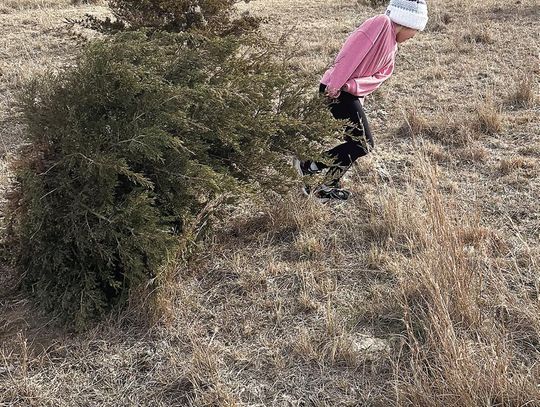 Deck the Streets of Barnard, Kansas