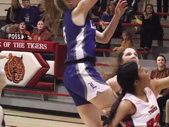 LINCOLN DOMINATES AT NATOMA