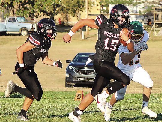 MUSTANGS ROLL PAST ST. FRANCIS