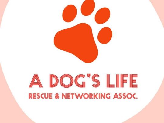 New organization created to help animals