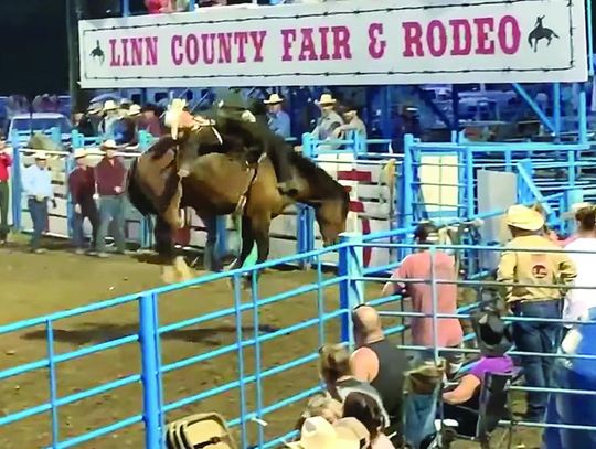 Robbins is World Champion