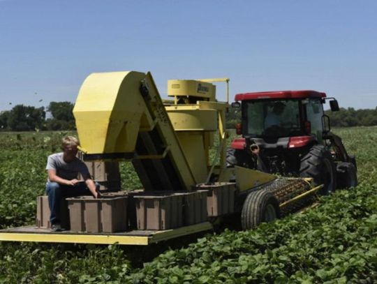 Shop Kansas Farms by Rick McNary