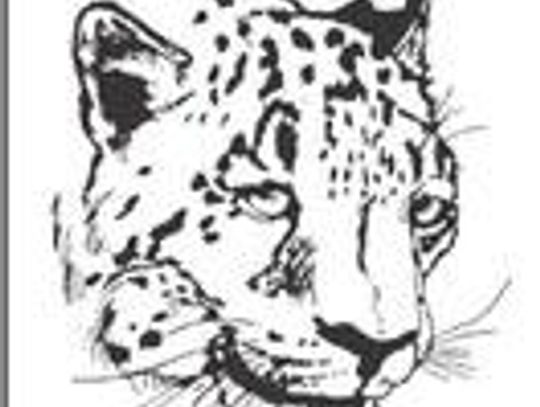 Supporting the Leopards