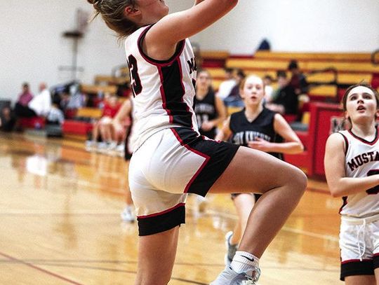 Sylvan-Lucas dominate Lakeside