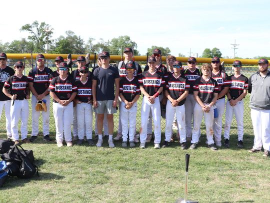 Sylvan-Lucas/Lincoln baseball season ends in Regional play against Southeast Saline