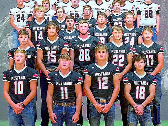 SYLVAN-LUCAS MUSTANG FALL SPORTS PHOTOS AND SCHEDULES