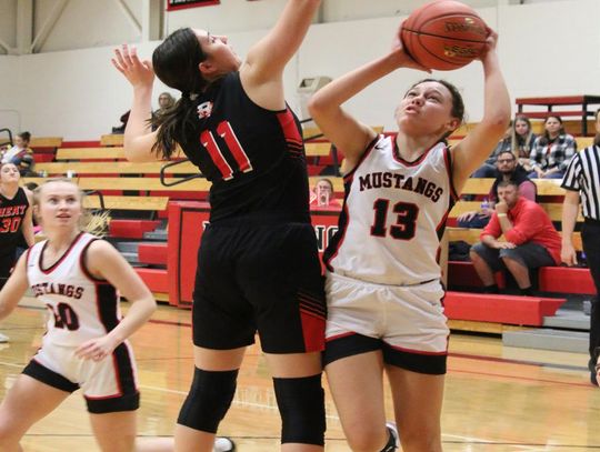 SYLVAN-LUCAS SUBSTATE GIRLS BASKETBALL