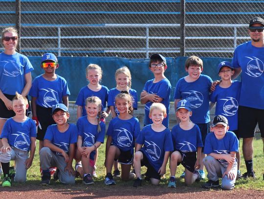 TRAVELING T-BALL