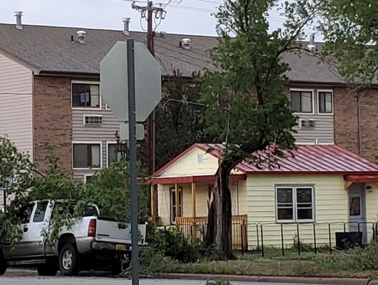 Trees and limbs fall during strong spring storm