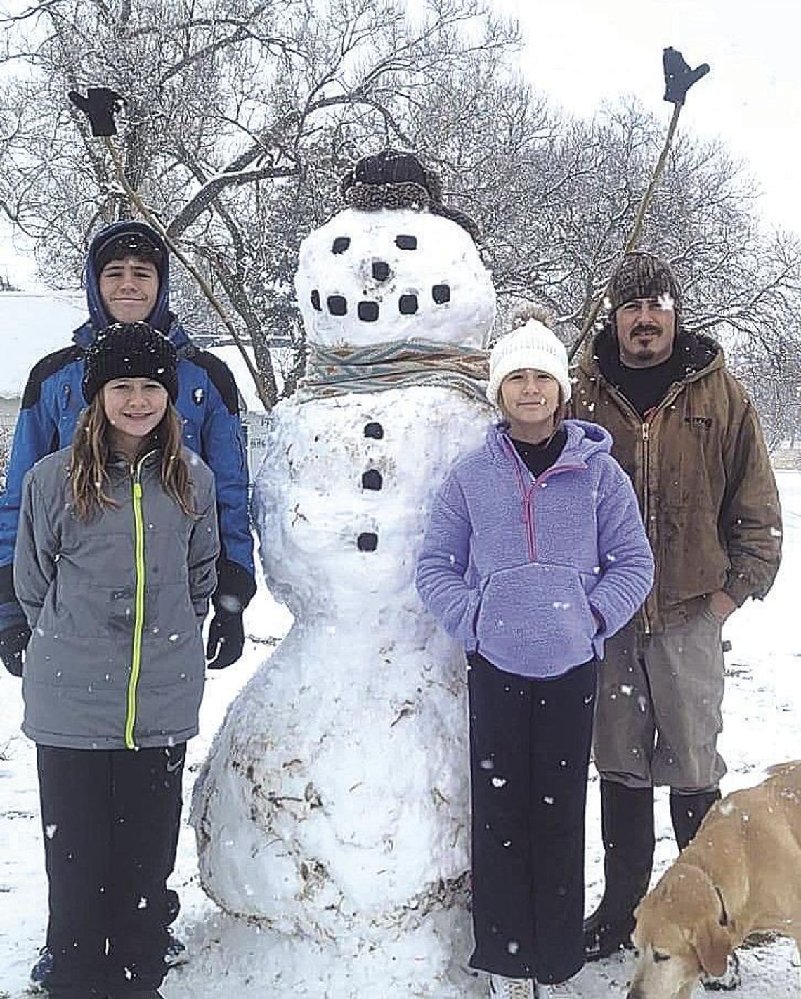 Do you want to build a snowman?