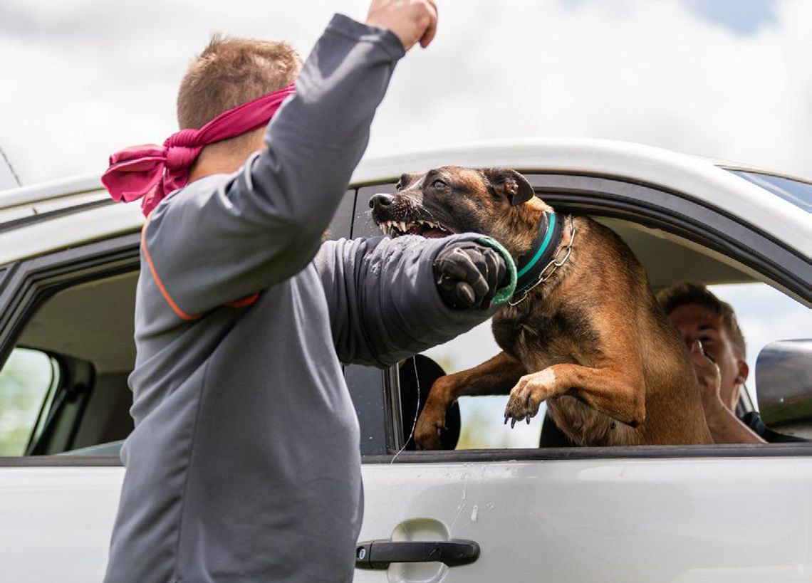 Historic event in Tescott, Kansas: Central Kansas Working Dogs hosts first-ever PSA trial in the state Historic event in Tescott, Kansas: Central Kansas Working Dogs hosts first-ever PSA trial in the state
