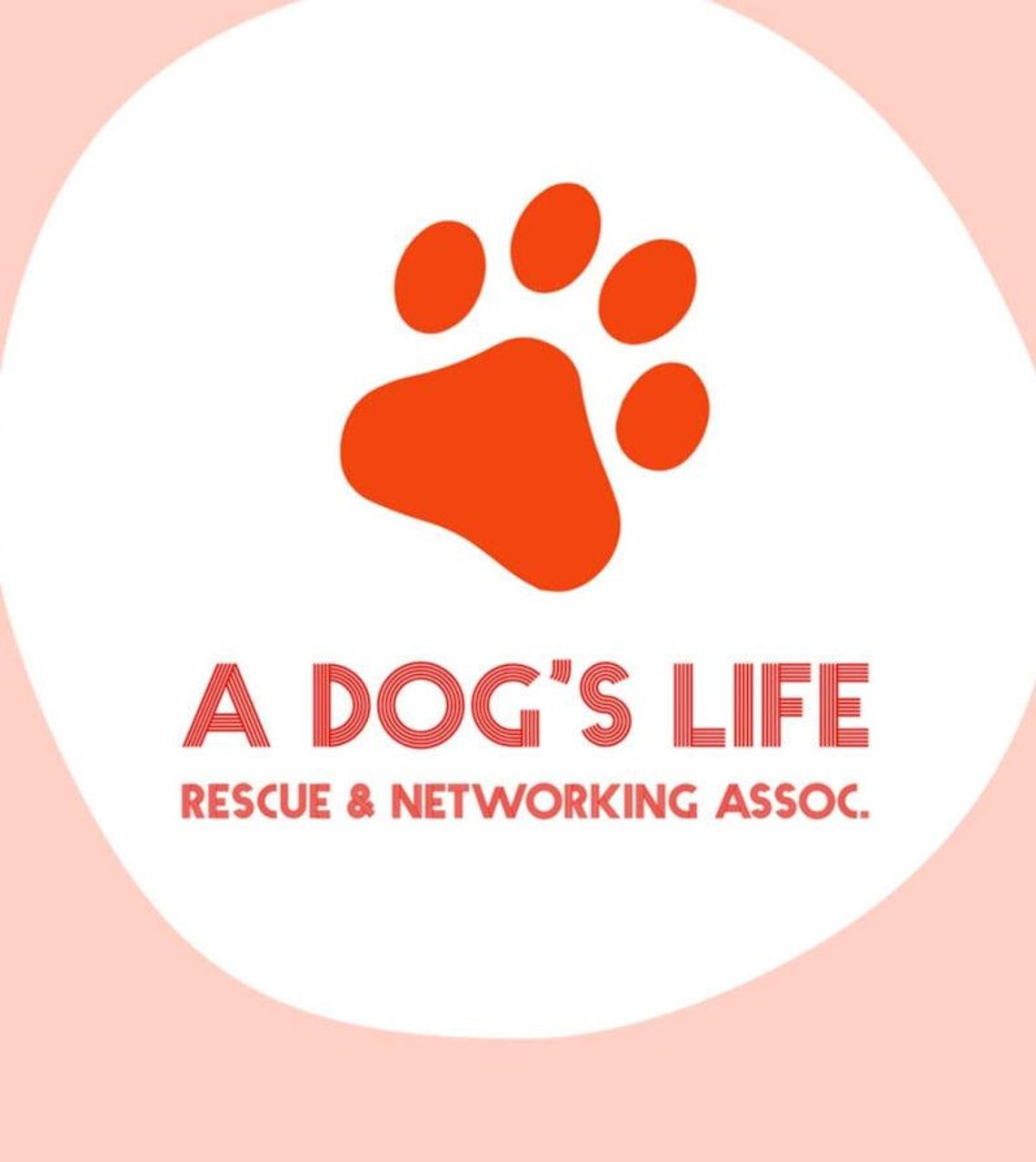 New organization created to help animals