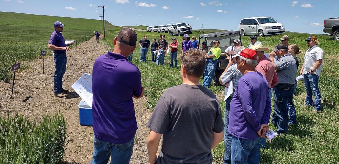 Post Rock Extension District Wheat Plot tours summary Post Rock Extension District Wheat Plot tours summary