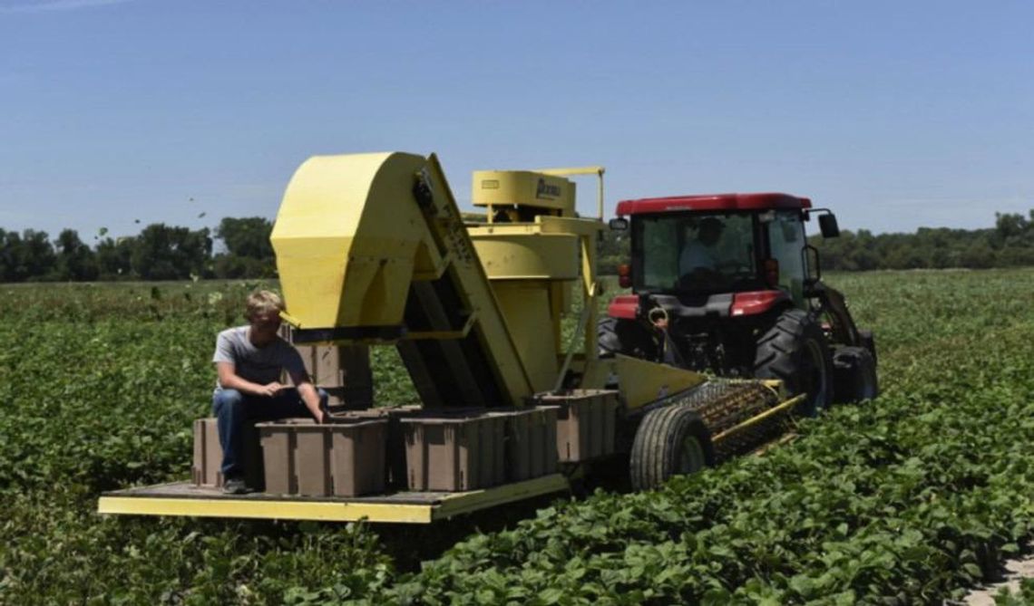 Shop Kansas Farms by Rick McNary Shop Kansas Farms by Rick McNary