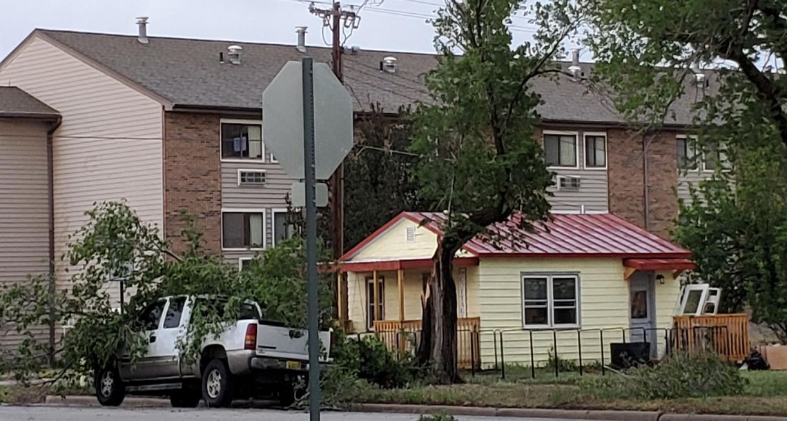 Trees and limbs fall during strong spring storm